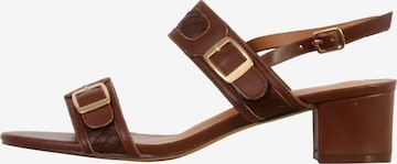 POTI PATI Sandaal 'Supermodische Sandalen mit Absatz' in Bruin: voorkant