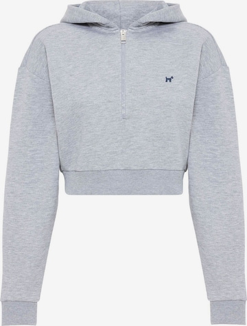Williot Sweatshirt in Grey: front