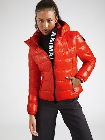 SAVE THE DUCK Between-Season Jacket 'COSMARY' in Red: front