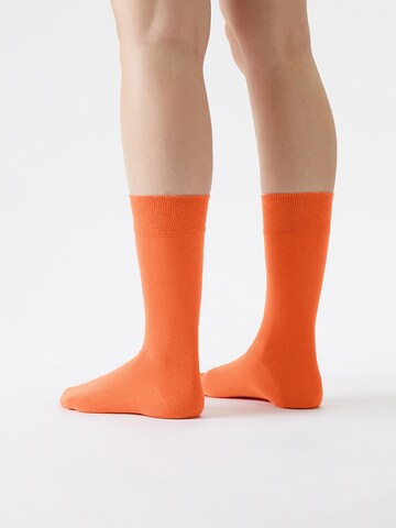 Von Jungfeld Socks 'Signature Innenbund' in Red