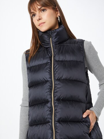 Gilet 'SKYLER' SAVE THE DUCK en noir