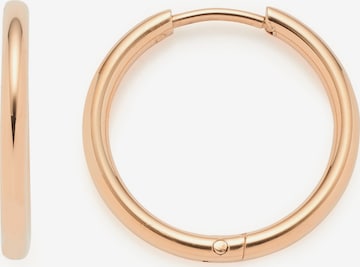 LEONARDO Earrings in Pink: front