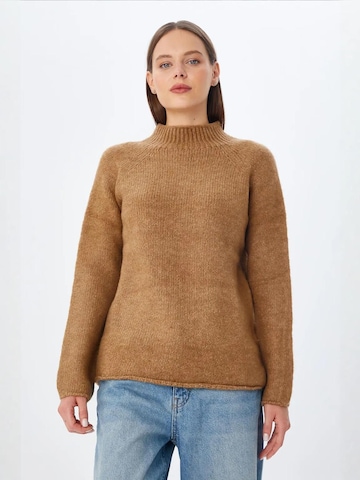 MixRay Pullover in Braun: Vorderseite