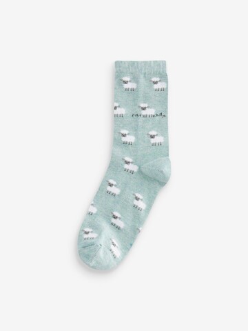 Next Socken in Mischfarben