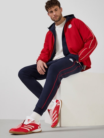FC BAYERN MÜNCHEN Regular Workout Pants in Blue