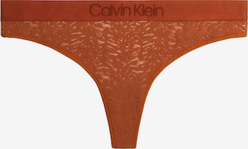 Calvin Klein Underwear Plus String in Braun: predná strana