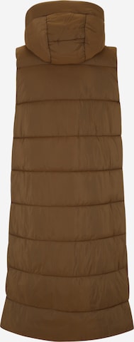 Y.A.S Tall Vest 'LIRA' in Brown