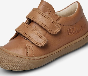 NATURINO Halbschuh 'COCOON LOW VL' in Beige: Vorderseite
