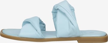 ILC Mules in Blue