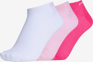 Polo Sylt Socks in Pink: front