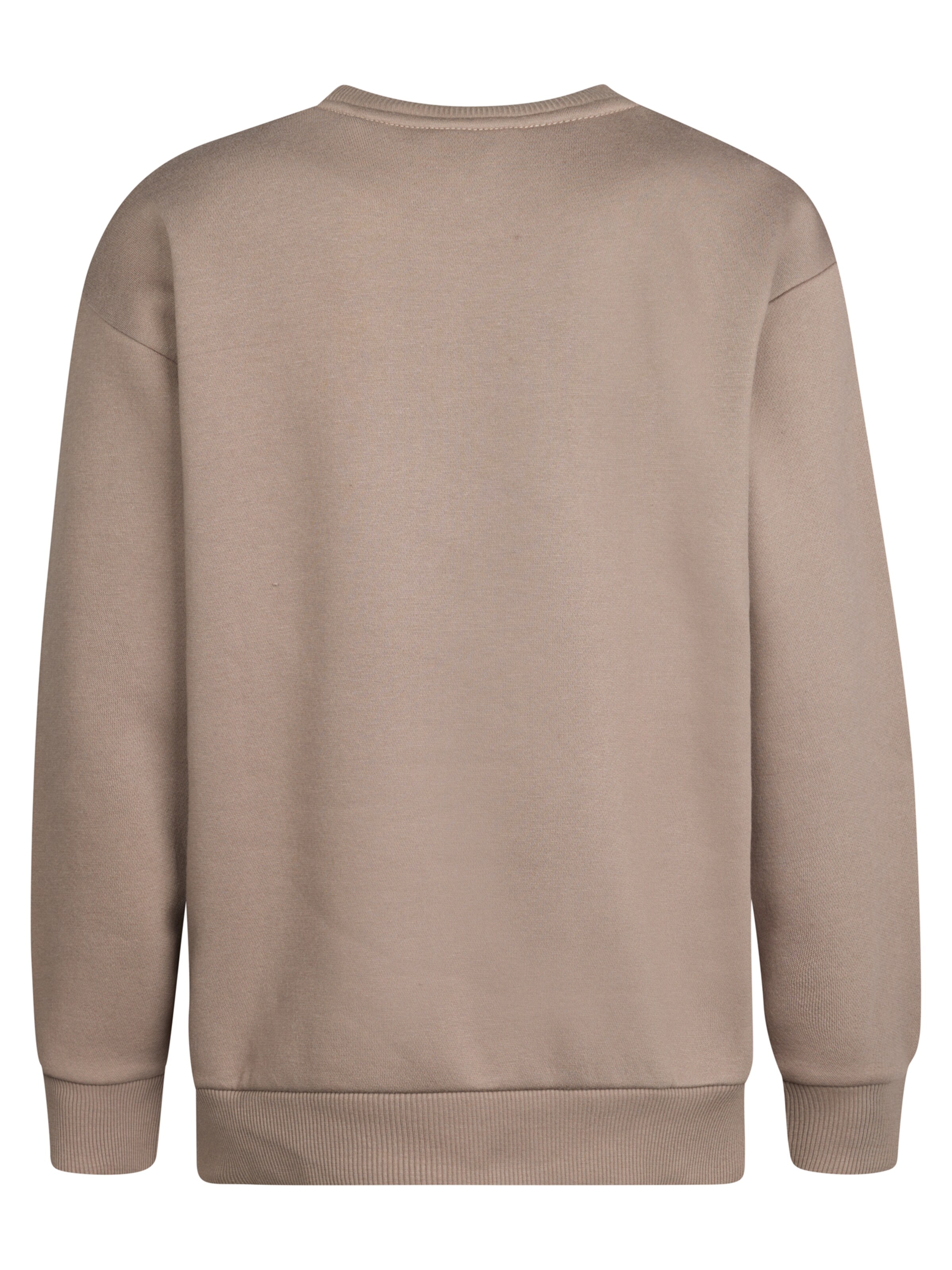 Petrol Industries Sweatshirt 'Adirondack' in Bruin