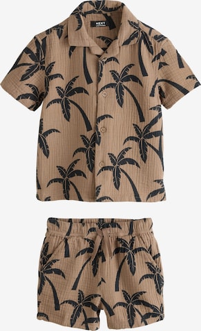 Next Set in Brown: front