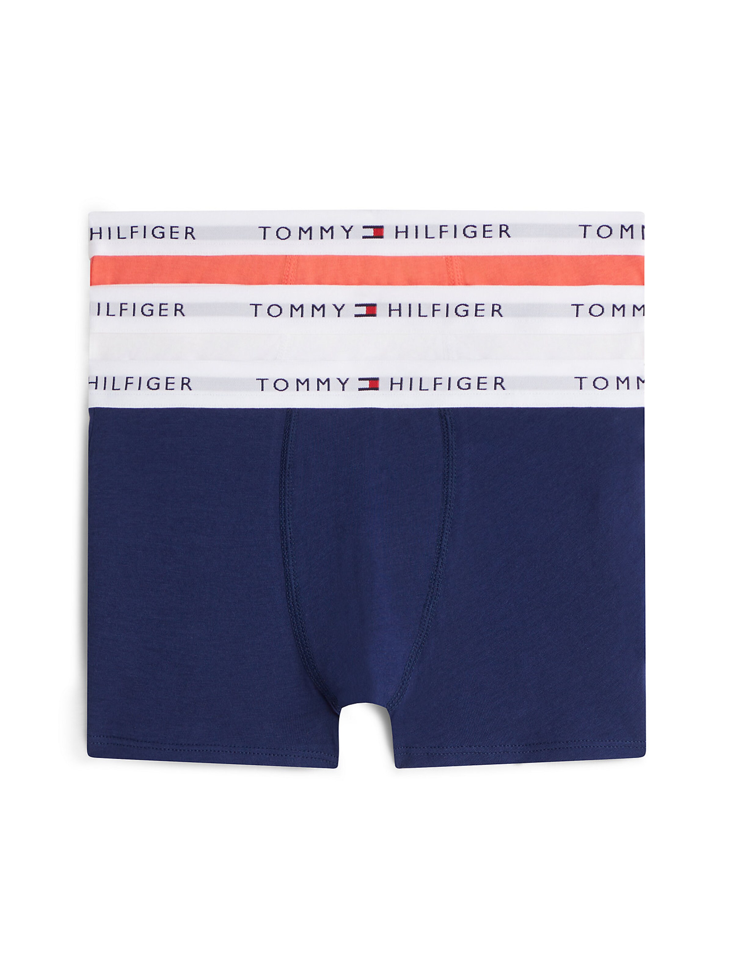 Sous-vêtements TOMMY HILFIGER en bleu : devant