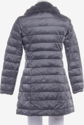 SAVE THE DUCK Jacket & Coat in S in Grey
