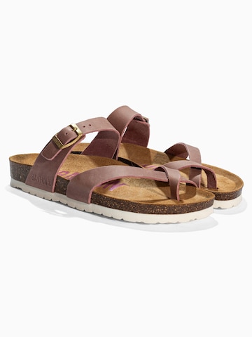 Bayton Japonke 'DIANE' | rjava barva