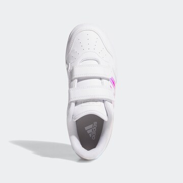 ADIDAS SPORTSWEAR Sneakers in Wit
