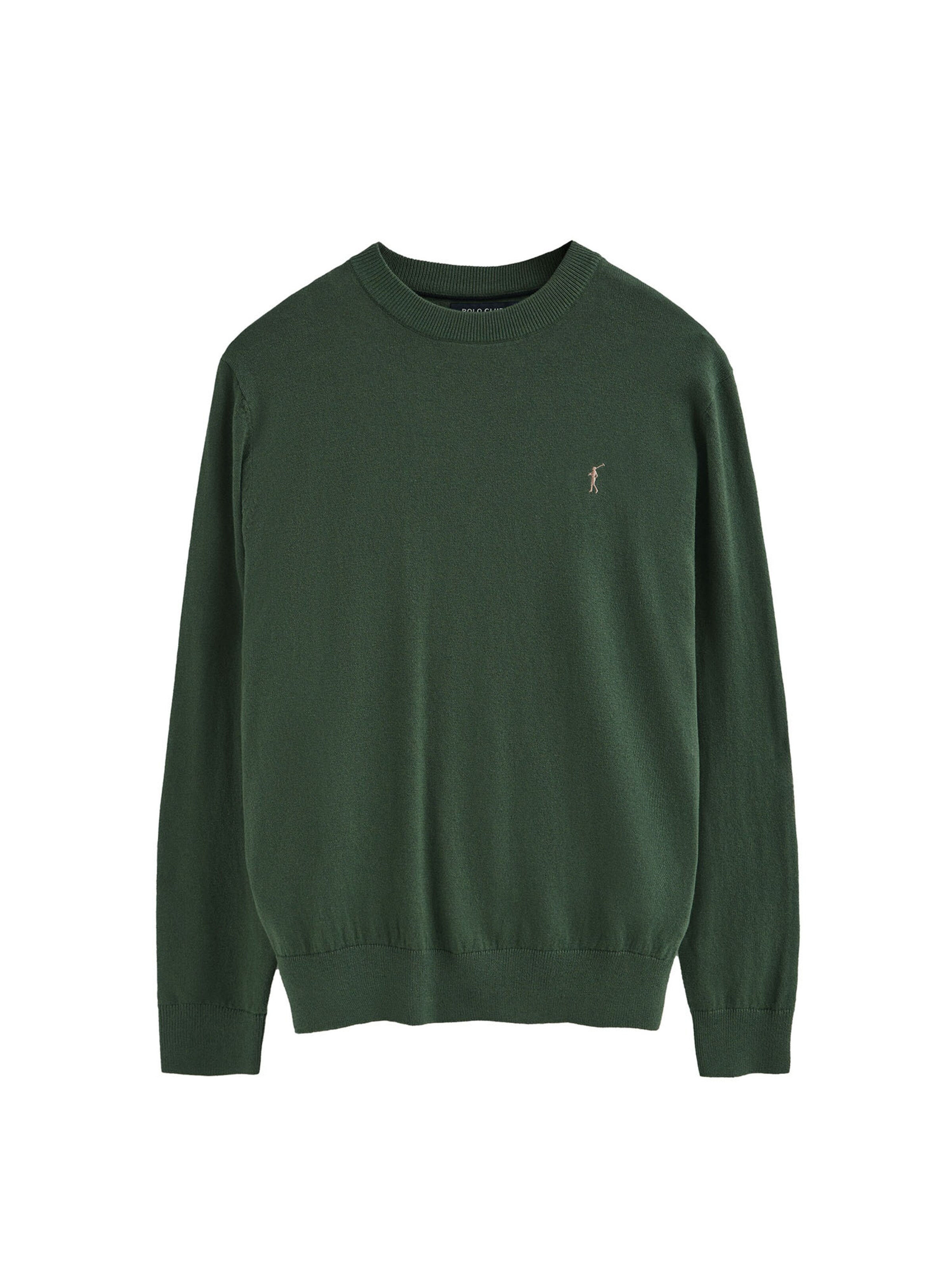 Polo Club Pullover in Grün: Vorderseite