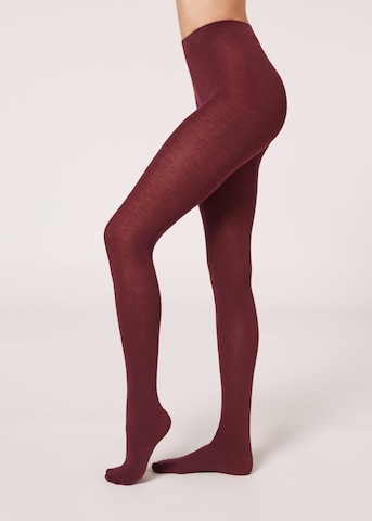 CALZEDONIA Strumpfhose 'thermo' in Rot: Vorderseite