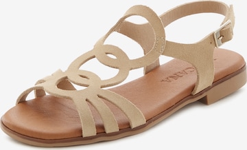 Sandales à lanières LASCANA en beige : devant
