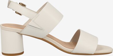 GEOX Strap Sandals in White