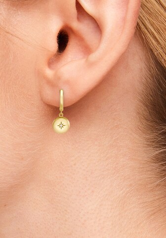 s.Oliver Earrings in Gold: front