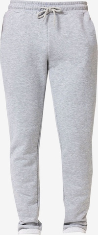 Williot Tapered Housut värissä harmaa: etupuoli