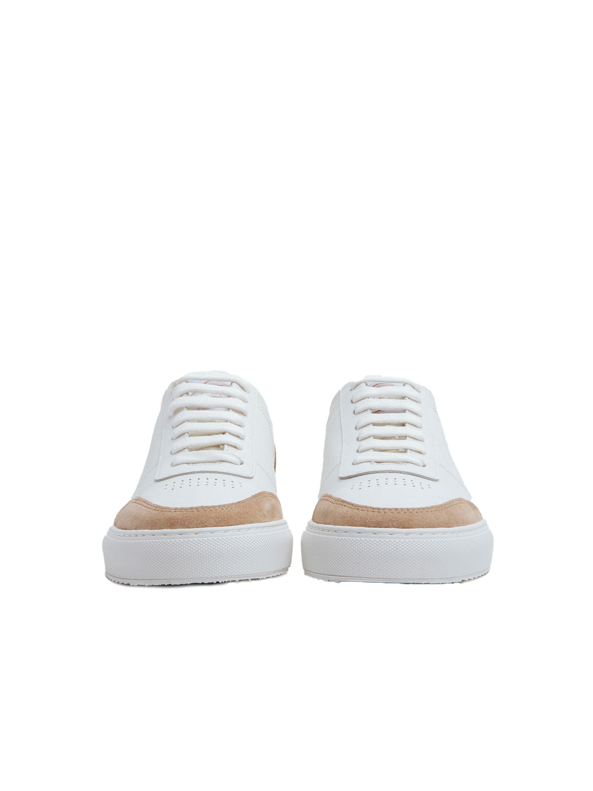 Algori Sneakers in White
