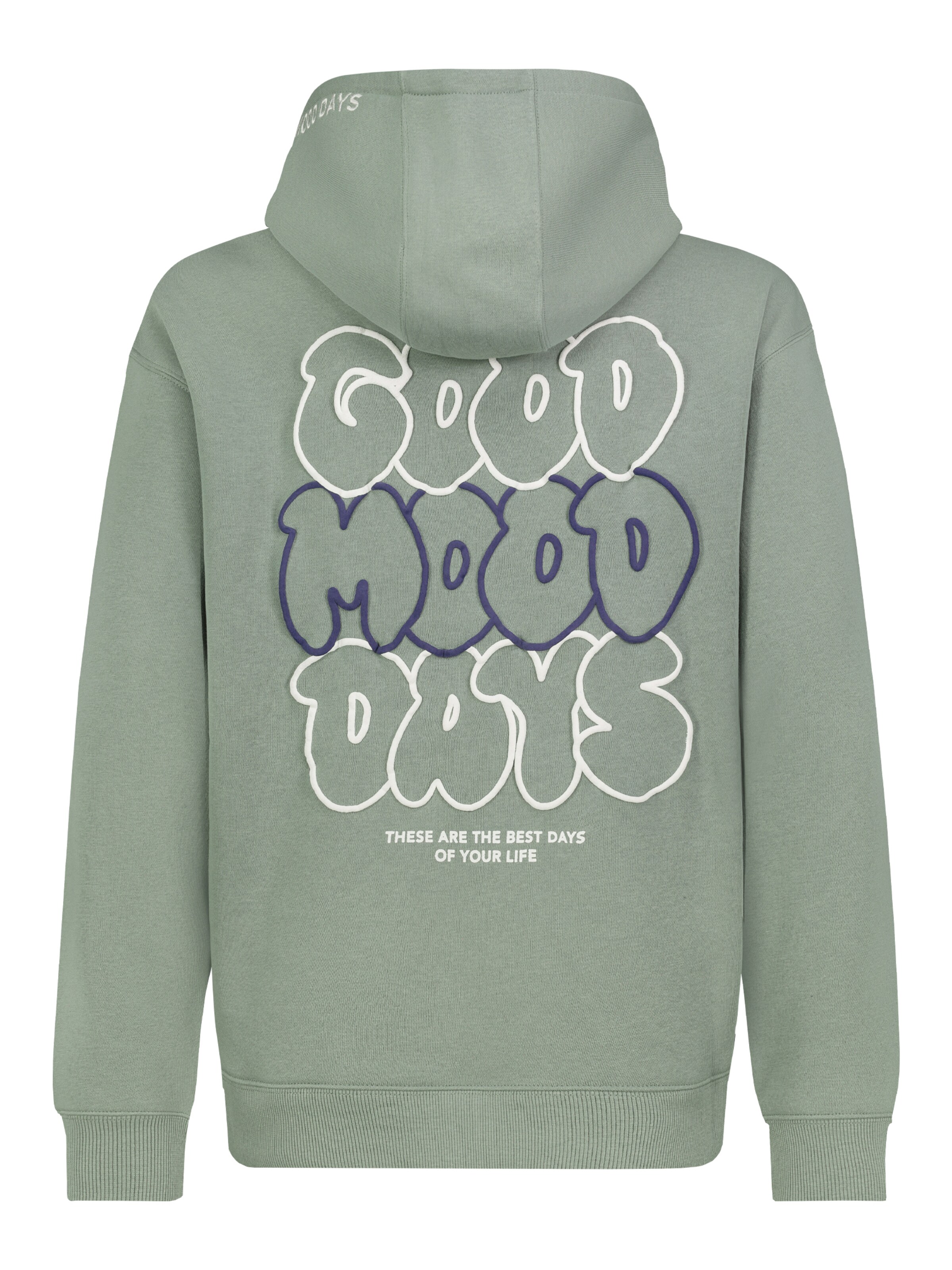 Sublevel Sweatshirt in Grün