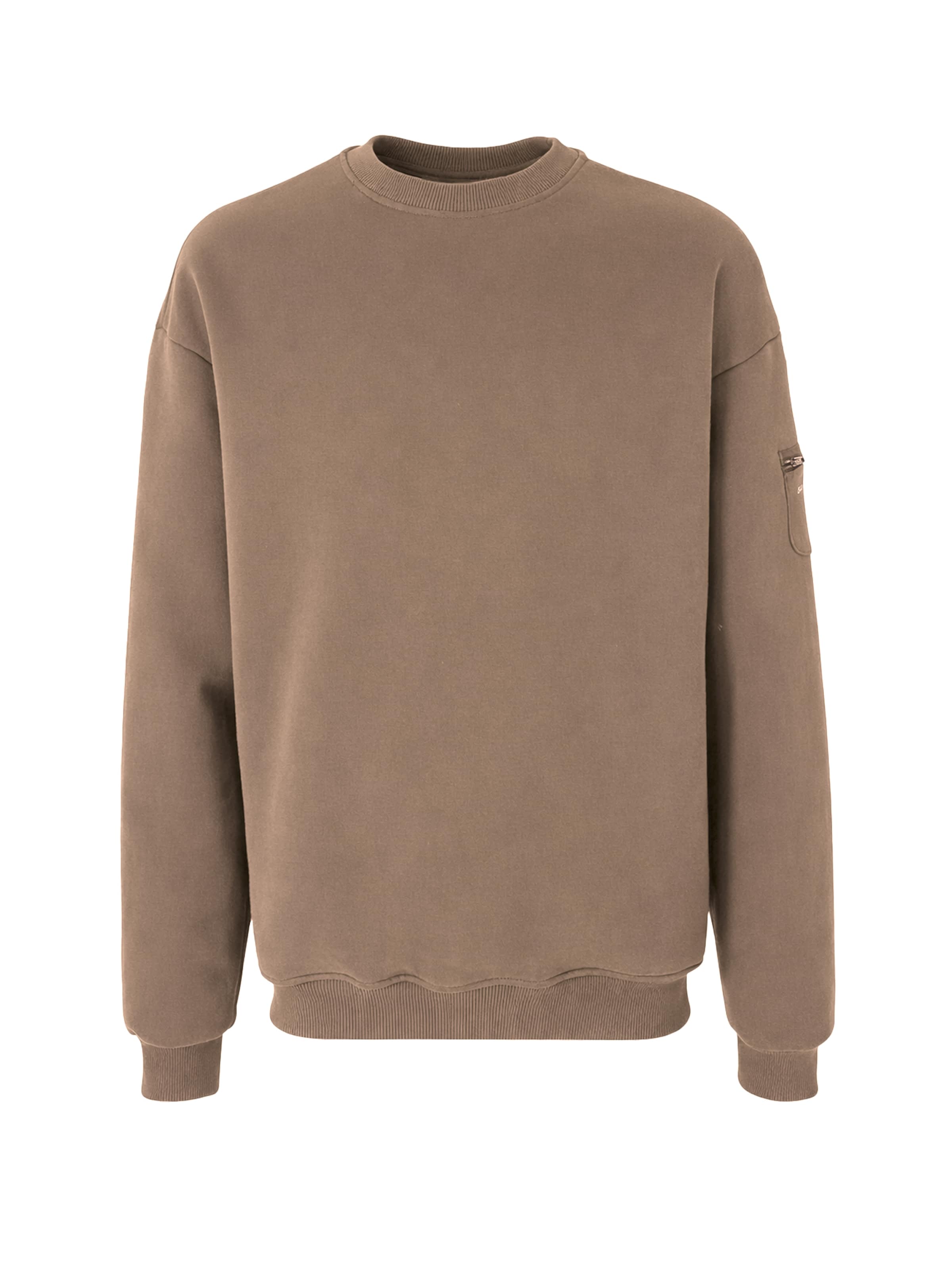 Organication Sweatshirt in Braun: Vorderseite