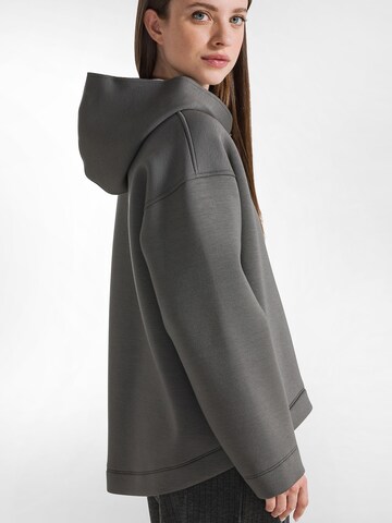DEHA Sweatshirt in Grey