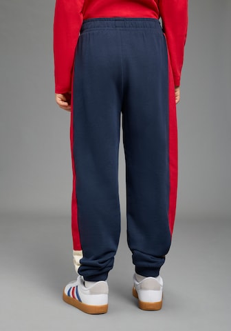 SCOUT Tapered Pants in Blue