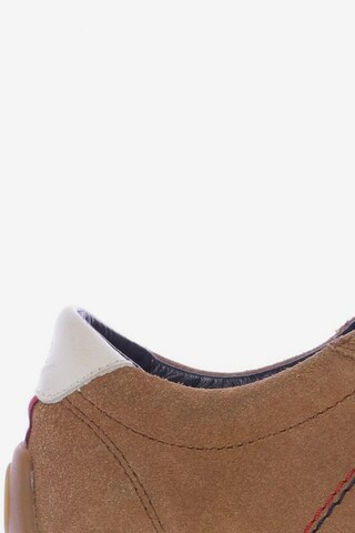 TOMMY HILFIGER Sneakers & Trainers in 37 in Brown