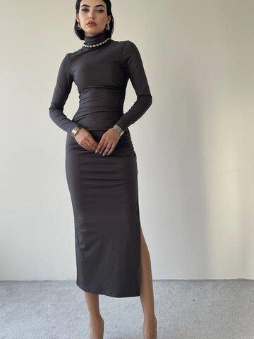 WOMAN VISION Kleid‌‌‌‌‌‌‌‌‌‌ in Grau: Vorderseite