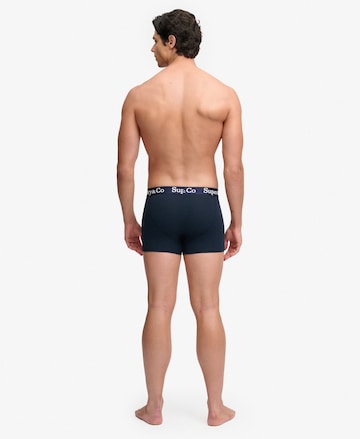 Superdry & Co Boxer shorts in Blue