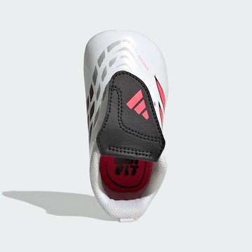 ADIDAS PERFORMANCESportske cipele 'Predator' - bijela boja