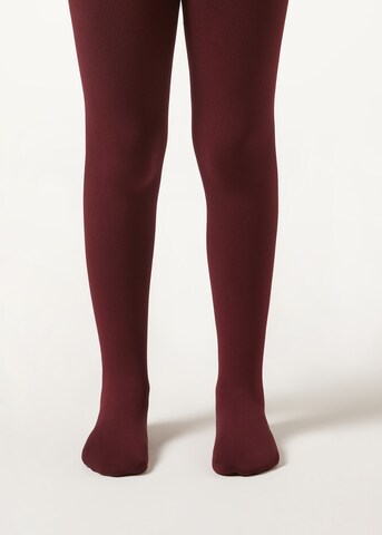 CALZEDONIA Strumpfhose 'THERMO' in Rot: Vorderseite