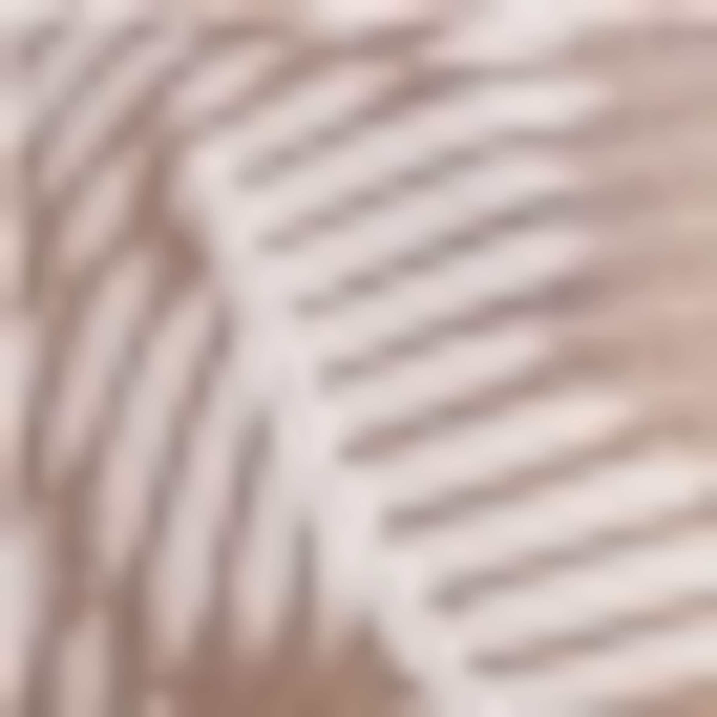 s.Oliver Triangle Bra in White