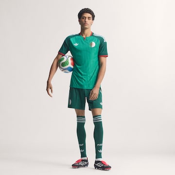 ADIDAS PERFORMANCE Tricot 'Algeria 26 Away Authentic' in Groen