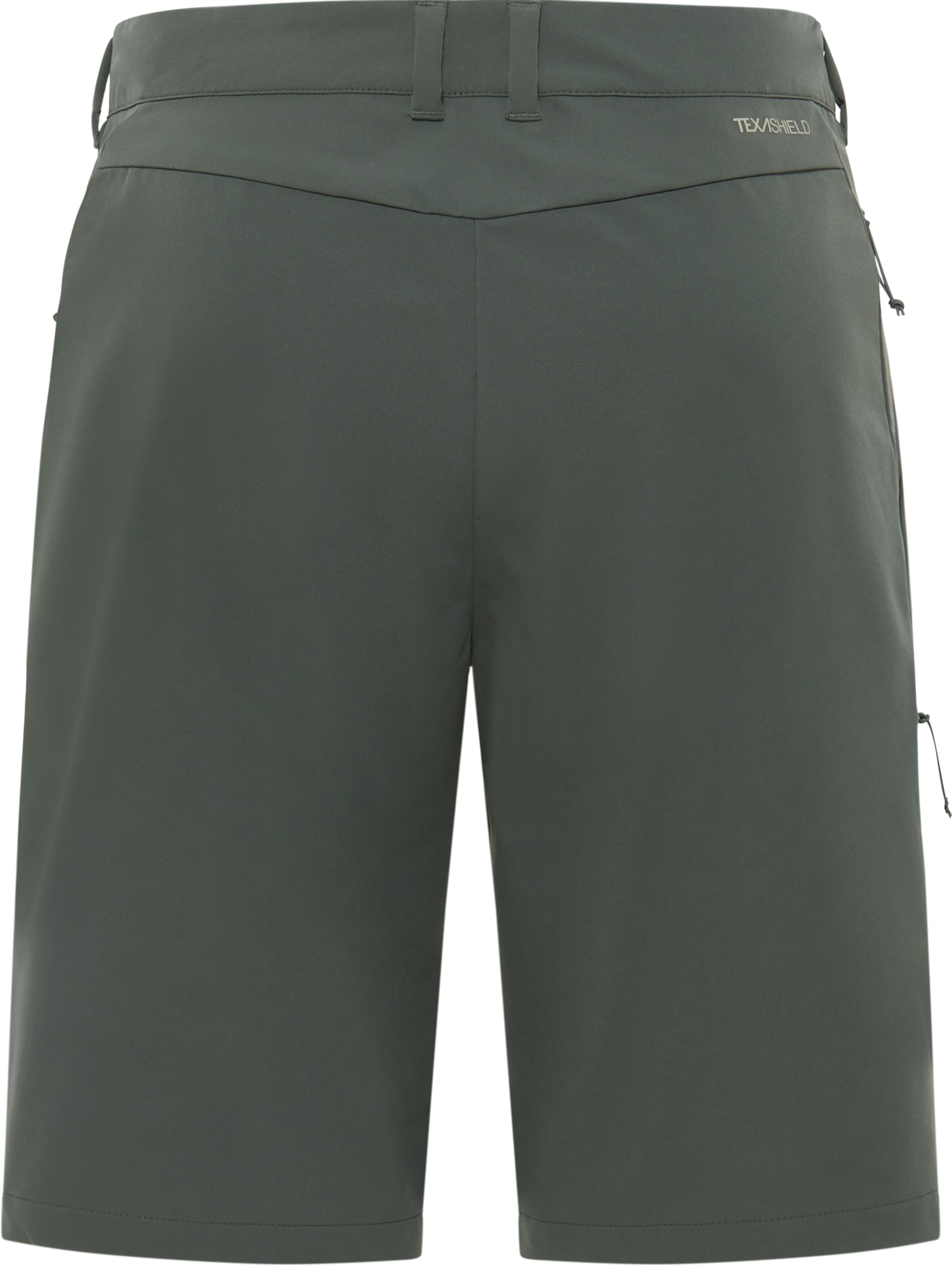 Regular Pantalon outdoor JACK WOLFSKIN en vert