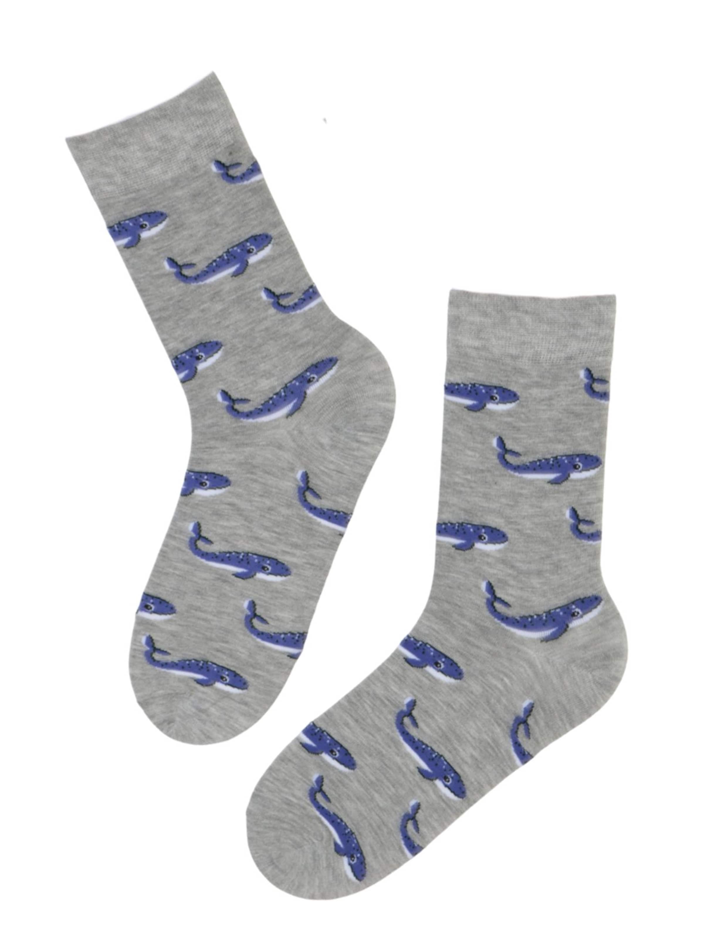 Sokisahtel - Calcetines 'THEODOR men's socks with whales' en gris: frente