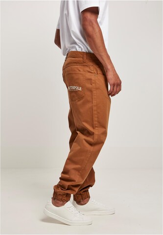 SOUTHPOLE Tapered Hose in Braun
