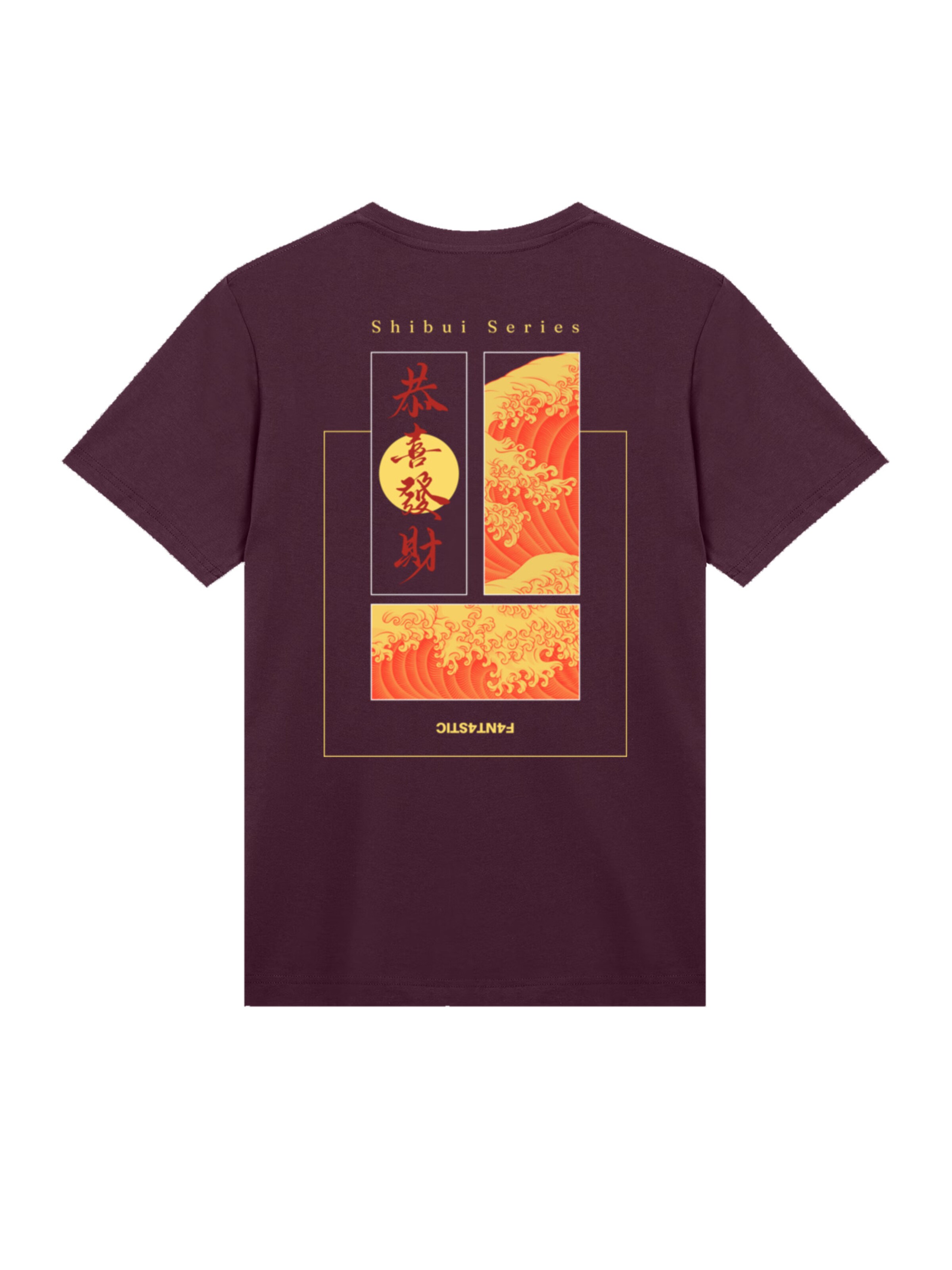 F4NT4STIC Shirt in Brown