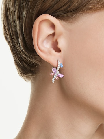 Swarovski Σκουλαρίκια σε ασημί: μπροστά