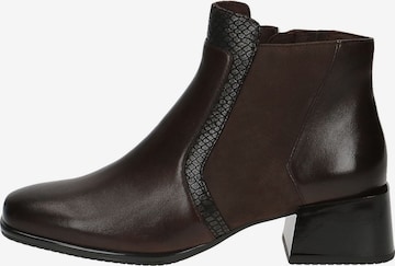 CAPRICE Booties in Brown