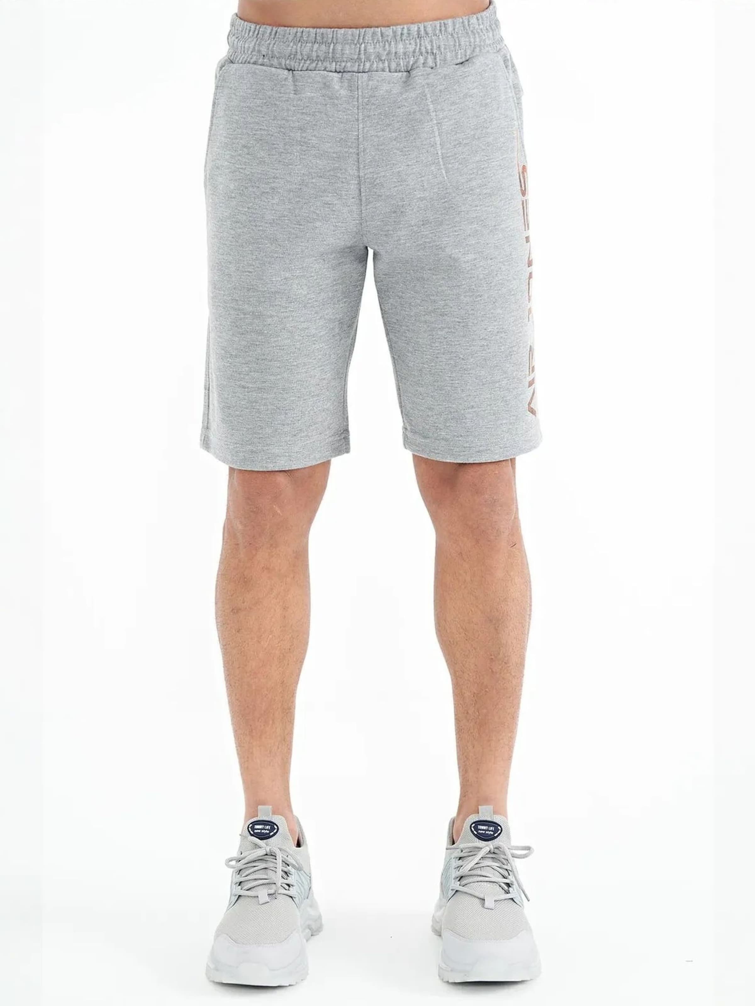 Regular Pantalon Tommy Life en gris : devant