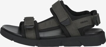 GEOX Hiking Sandals 'Xand 2S' in Grey
