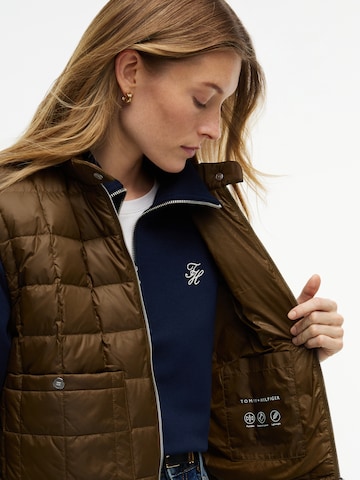 Gilet di TOMMY HILFIGER in verde