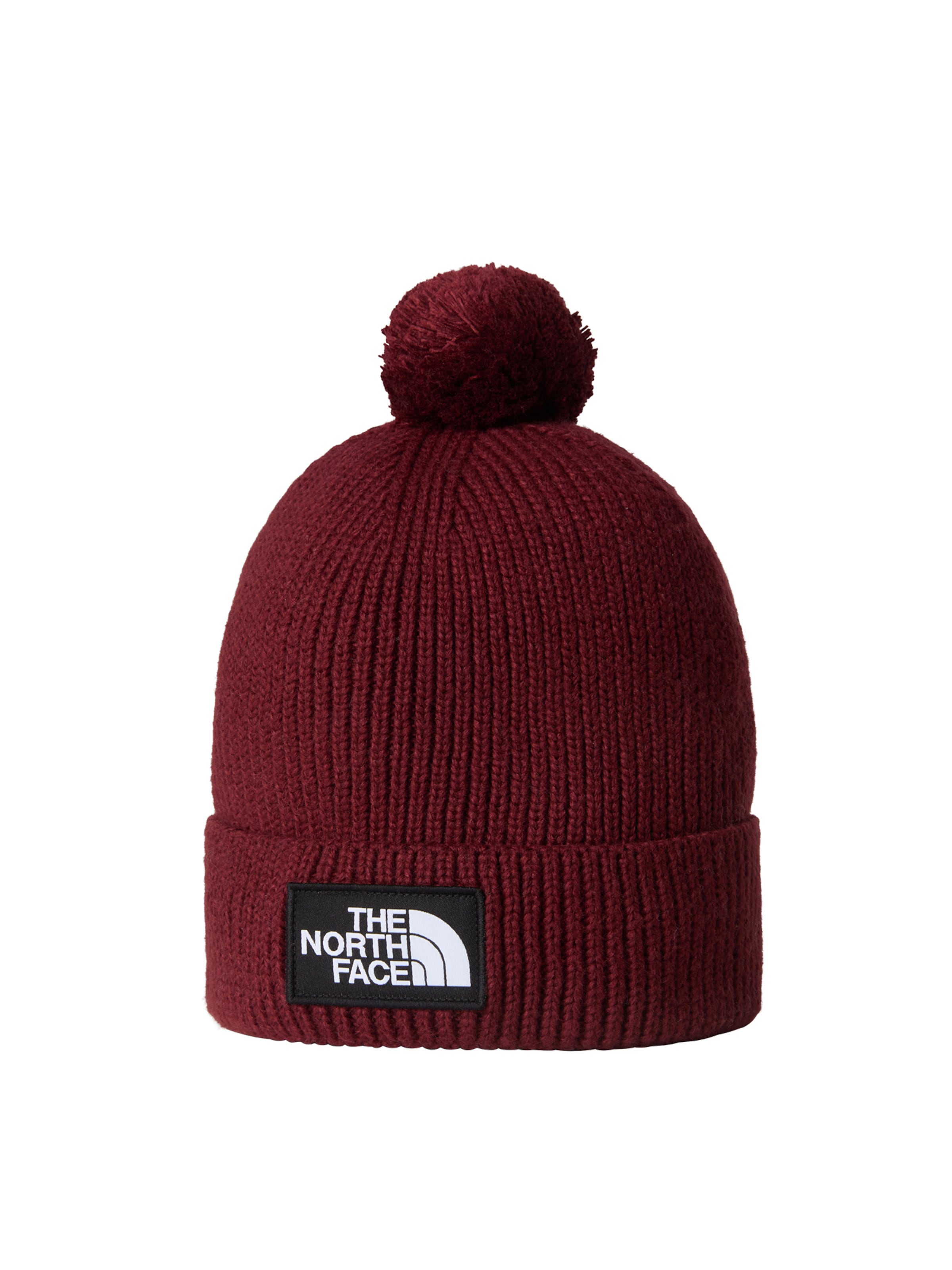 THE NORTH FACE Czapka 'Logo Box' w kolorze czarny: przód