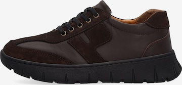 VENEZIA Sneaker low in Braun: Vorderseite