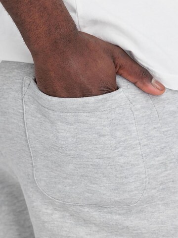 ALPHA INDUSTRIES Regular Pants 'Basic' in Grey